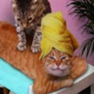 Meet your Posher, Linda